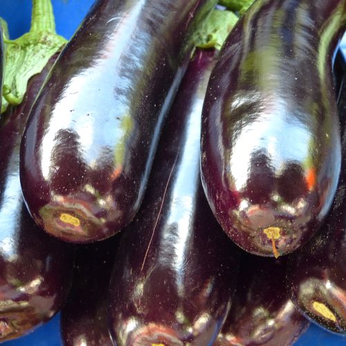 Aubergine Violetta Lunga 3