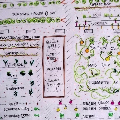 Teeltmomenten moestuinplan