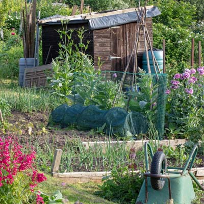 10 lessen voor het volgende moestuinseizoen