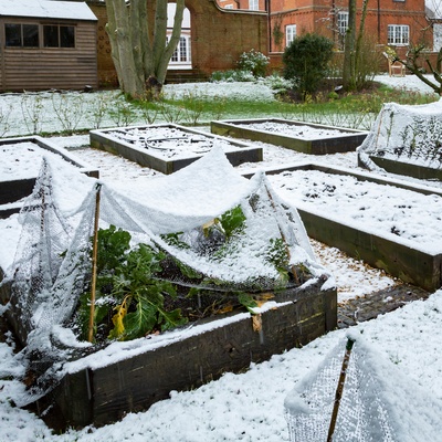 Geef je tuin een winterrust