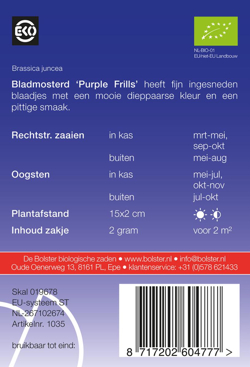 1035 Bladmosterd Purple Frills