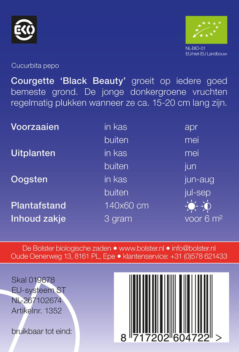 1352 Courgette Black Beauty