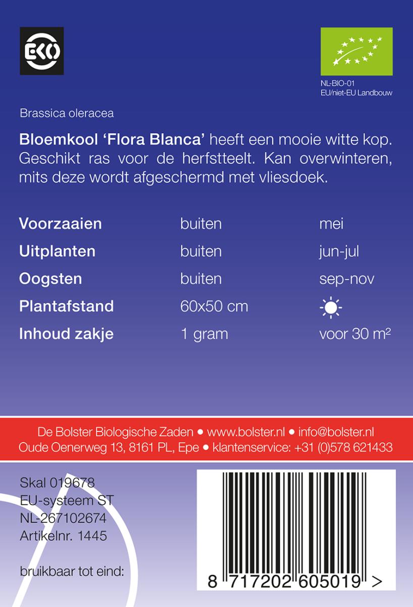 1445 Bloemkool Flora Blanca