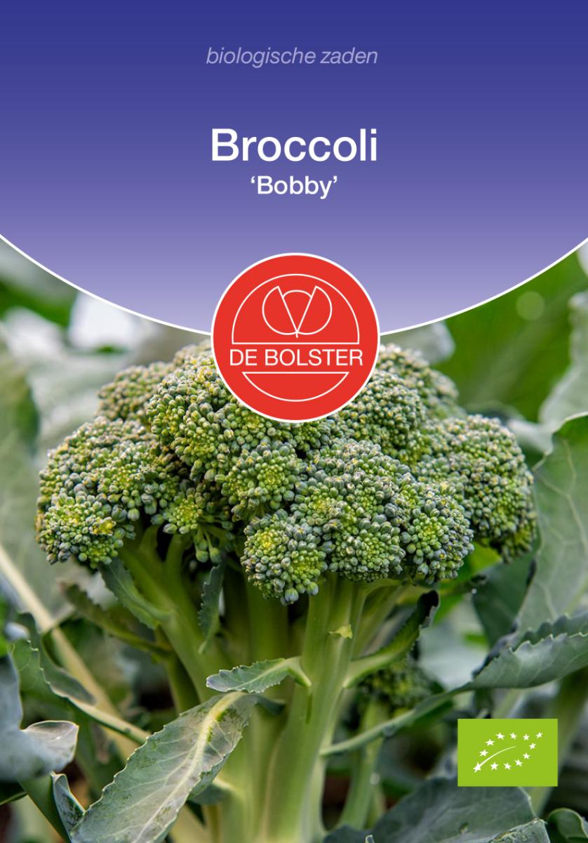 Broccoli Bobby – Brassica oleracea