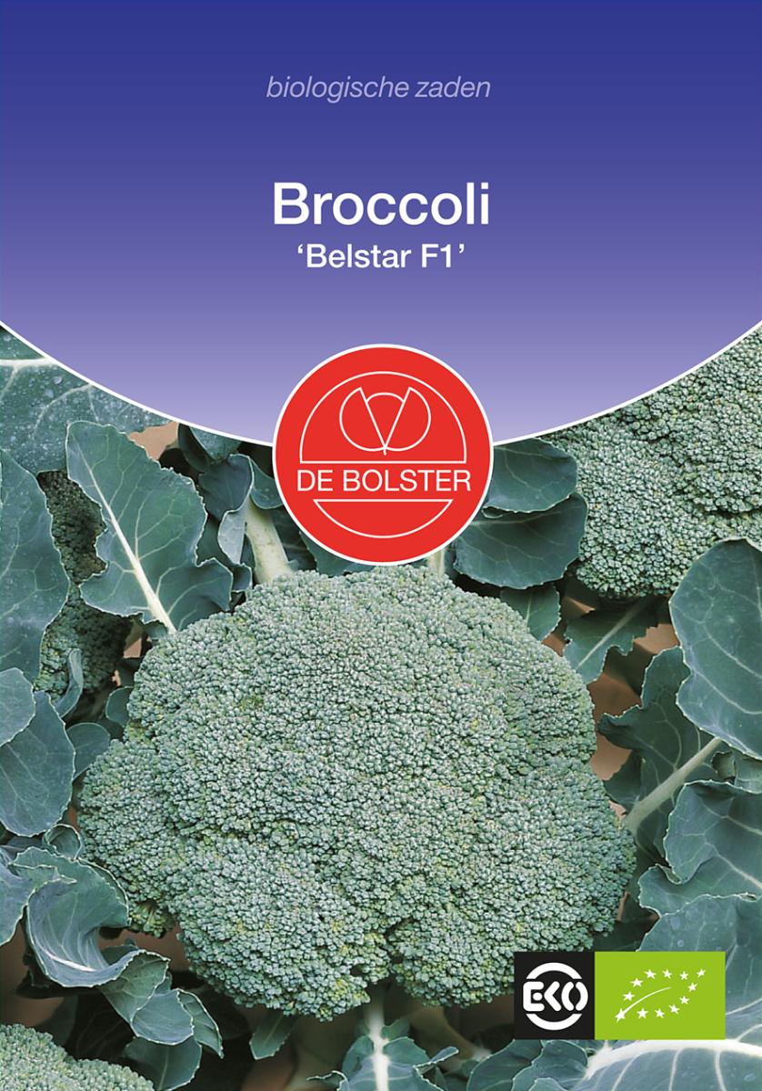 Broccoli ‘Belstar F1’