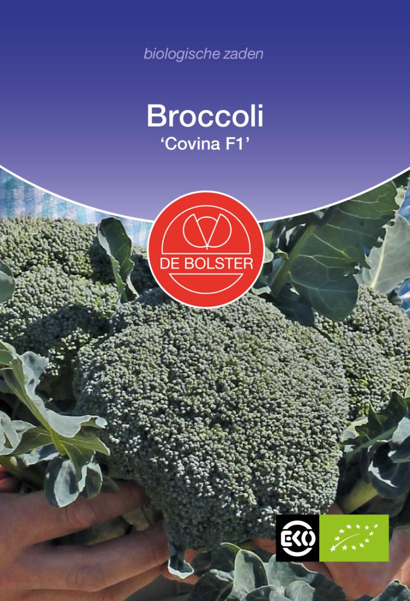 Broccoli Covina F1 – Brassica oleracea