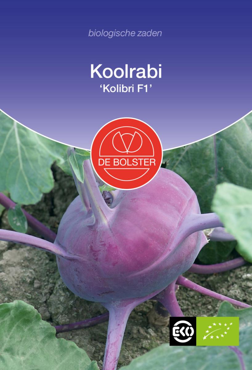 Koolrabi Kolibri F1 – Brassica oleracea 
