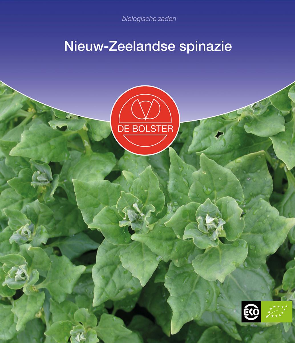 Nieuw-Zeelandse spinazie – Tetragonia tetragonioides