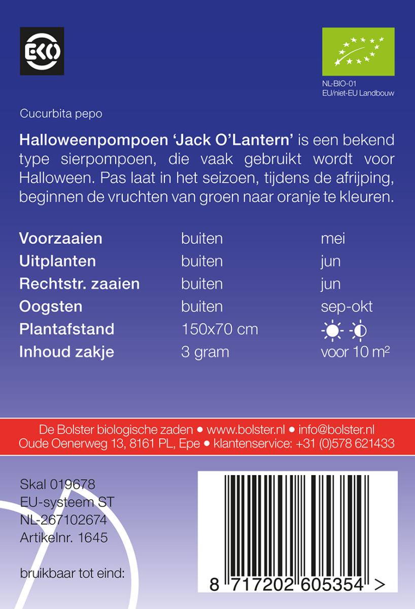 1645 Halloweenpompoen Jack OLantern