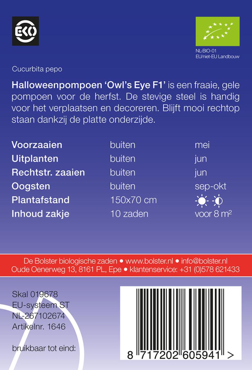 1646 Halloweenpompoen Owls Eye F1