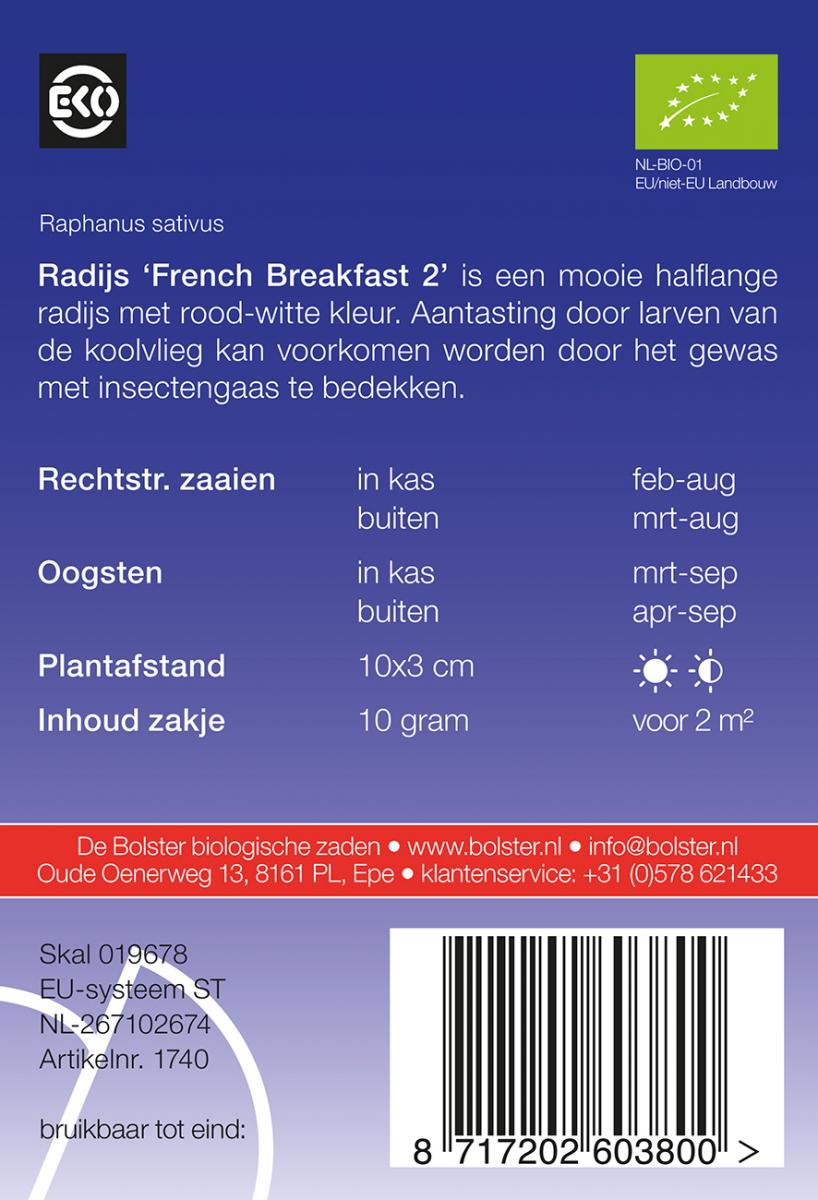 Radijs French Breakfast 2 – Raphanus sativus
