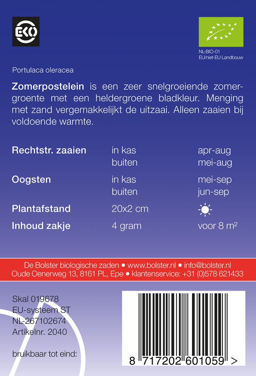Zomerpostelein – Portulaca oleracea