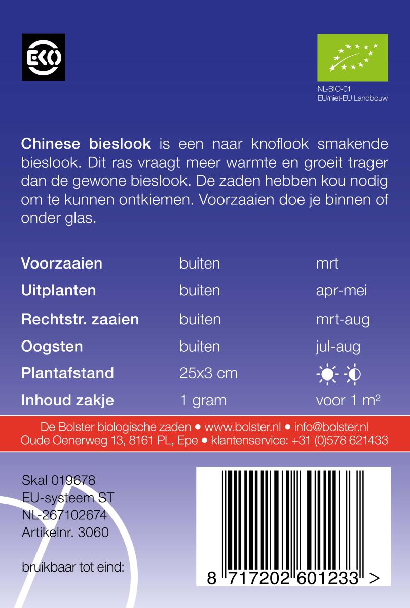Chinese bieslook – Allium tuberosum