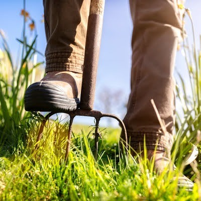 10 lessen voor het volgende moestuinseizoen