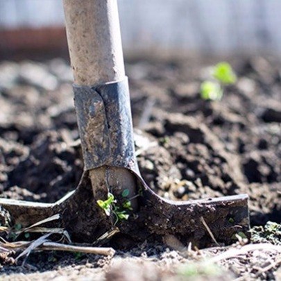 Moestuin winterklaar maken