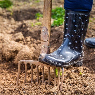 Voeding voor je moestuin