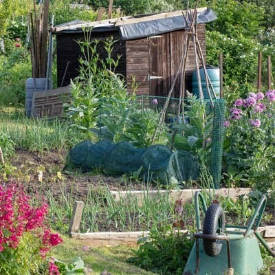 verschil regeneratieve en biologische landbouw