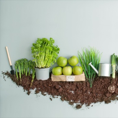 Groenten in potten kweken