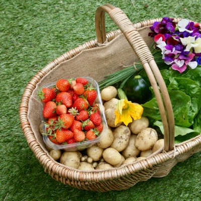 Hoe haal ik de maximale opbrengst uit mijn moestuin?