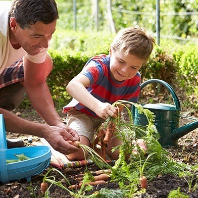 Moestuin in je vakantie