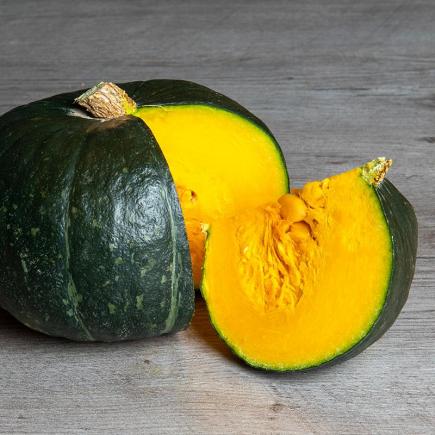 Pompoen Meteor F1 – Cucurbita maxima