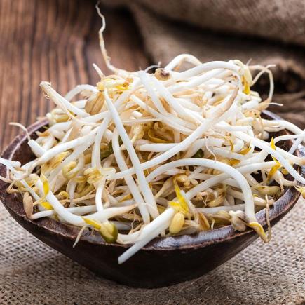 Taugé - Kiemgroente - Vigna radiata