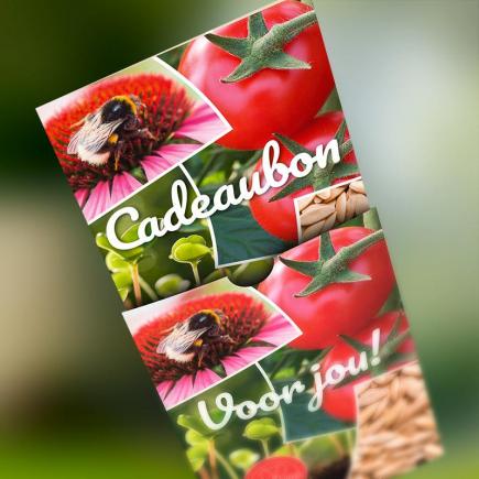 Cadeaubon De Bolster biologische zaden